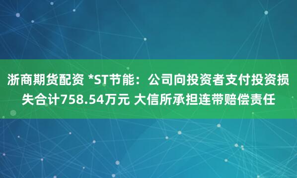 浙商期货配资 *ST节能：公司向投资者支付投资损失合计758.54万元 大信所承担连带赔偿责任