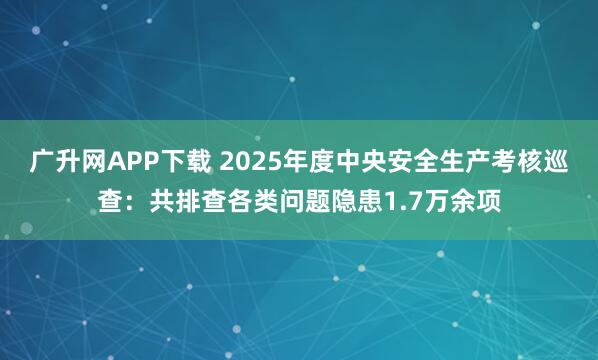 广升网APP下载 2025年度中央安全生产考核巡查：共排查各类问题隐患1.7万余项